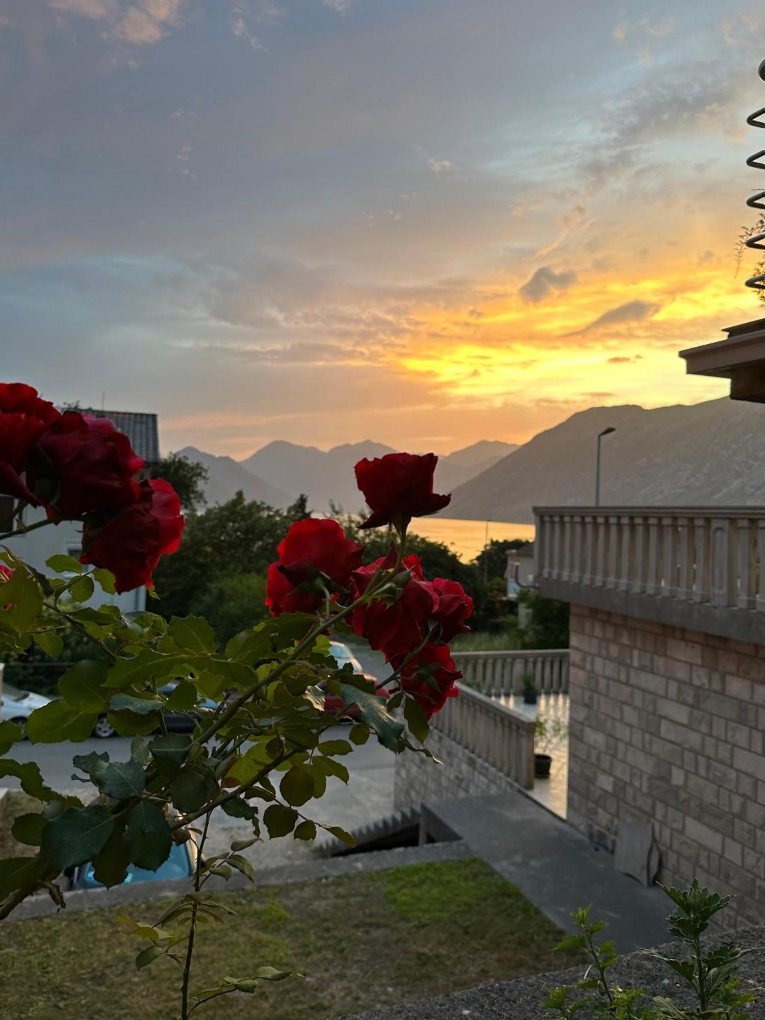 Sunny Kotor