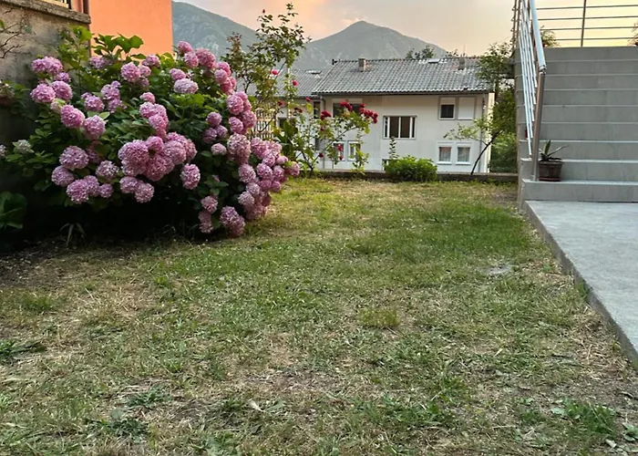 Sunny Apartment
