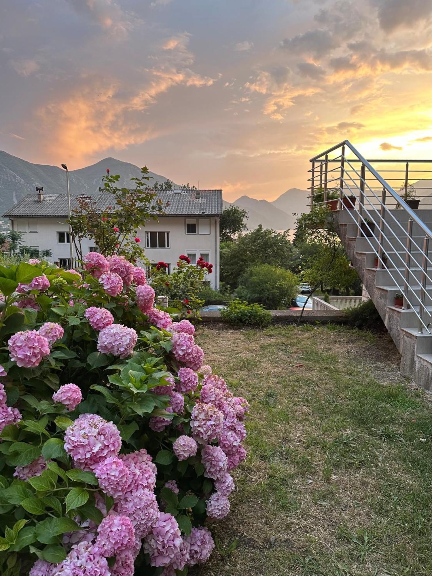 Apartman Sunny